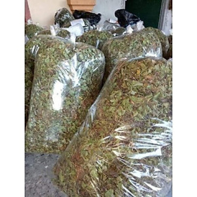 cây rau má phơi khô túi 1kg