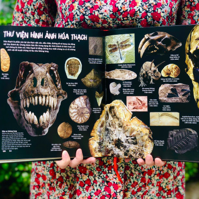 Combo sách Đ.á qu.ý và Khoàng sản, Khám phá bí ẩn không gian ( bộ 2 cuốn ) - Tổng hợp kiến thức bách khoa dành cho mọi lứa tuổi