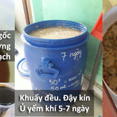 Combo 2 chai Chế phẩm sinh học EM gốc (EM1). Men vi sinh Đại Học Nông Nghiệp 1 Hà Nội. Chứa hàng tỷ bào tử hữu hiệu. Từ 1 lít EM gốc sản xuất ra 40 lít EM thứ cấp. HSD: 2 năm