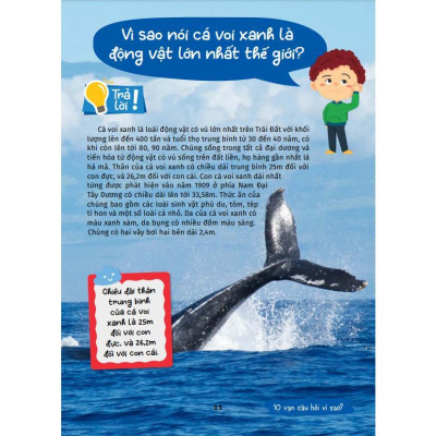 Sách - 10 Vạn Câu Hỏi Vì Sao - Kiến Thức Bách Khoa - Combo 5 Cuốn - Việt Thư