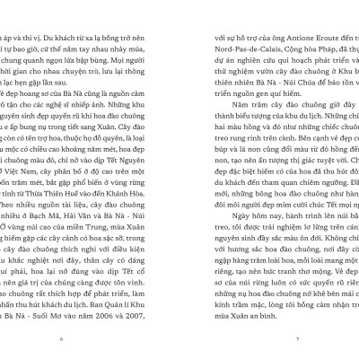 Sách - Vết Cũ Ngày Mưa