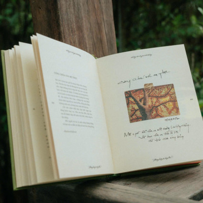 Sách - Bong Bóng Ơi, Bay Lên! - Bìa Cứng