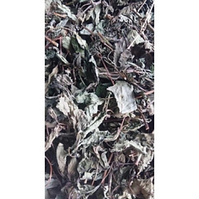 cây tía tô phơi khô túi 1 kg