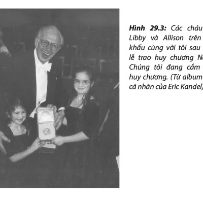 Lần Theo Dấu Ký Ức