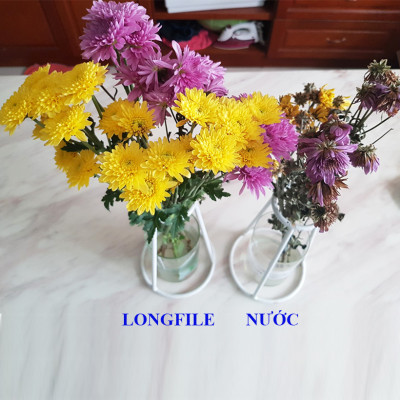 Nước cắm hoa lâu tàn (Set 100 gói) dạng bột nhập khẩu Israel Food For CUT Flowers mỗi gói tạo ra 0.5L dung dịch xử lý hoa cắm bình