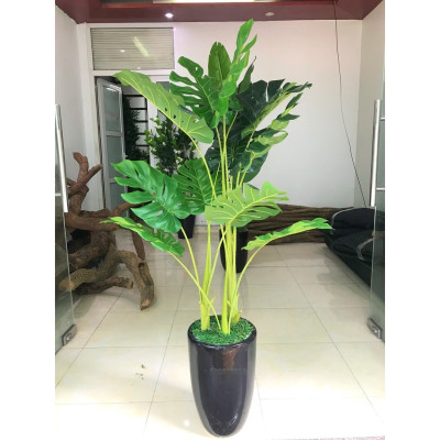 Cây lá rùa xẻ giả - Size 130cm - 3 nhánh - Cây giả, hoa lụa Decor trang trí nhà cửa