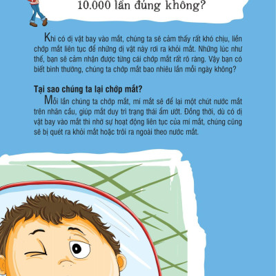 Những Kiến Thức Khoa Học Dễ Hiểu Sai - Khám Phá Cơ Thể Người