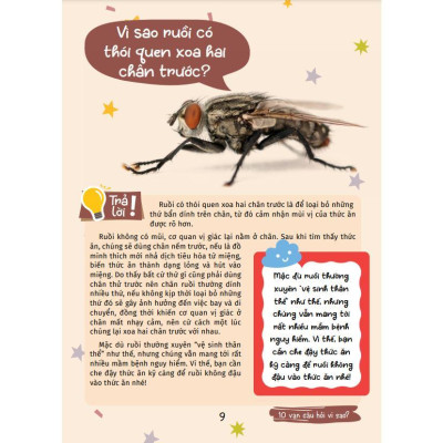 Sách - 10 Vạn Câu Hỏi Vì Sao - Kiến Thức Bách Khoa - Động Vật Kỳ Lạ - Việt Thư