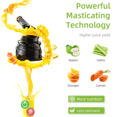 Máy ép trái cây tốc độ chậm Biolomix SJ-017 công suất 200W - Hàng Chính Hãng