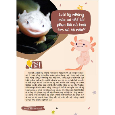 Sách - 10 Vạn Câu Hỏi Vì Sao - Kiến Thức Bách Khoa - Động Vật Kỳ Lạ - Việt Thư