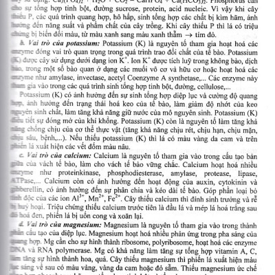Bồi dưỡng học sinh giỏi Sinh học 11 (Dùng chung cho các bộ SGK) (Tái bản 2023) - Bìa mới