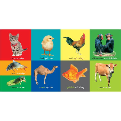 Sách 101 Từ đầu tiên Động Vật - Minh Long