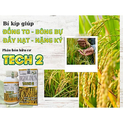 Phân bón hữu cơ Nano Organic One TN TECH 2 giúp đòng to, bông bự, đầy hạt, nặng ký