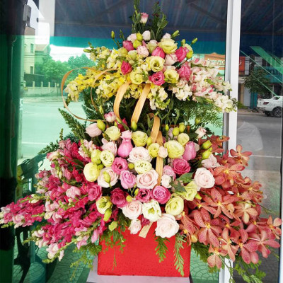 Shop Hoa Bảo Quản Hoa Cắm Lẵng, Hoa Cắm Xốp lâu tàn và hạn chế thay hoa định kỳ bằng Bột Dinh Dưỡng Hoa nhập khẩu Israel hiệu Longlife SG Của Israel (Thùng 5KG Bột Dưỡng Hoa Israel)