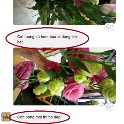 Dung Dịch Xử Lý Hoa TOG Galileo của ISRAEL (Chai 1 Lít) dùng bảo quản hoa cắt cành tươi lâu tại Nhà Vườn Trồng Hoa, Vựa Hoa và Chợ Sỉ Hoa. Tỷ lệ dung dịch 0.1% tức chai 1 Lít TOG pha được 1.000 Lít dung dịch xử lý hoa