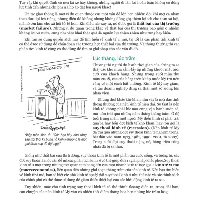 Sách - Tinh Hoa Kinh Tế Học - Essentials Of Economics - Bìa Cứng (Tái Bản 2024)