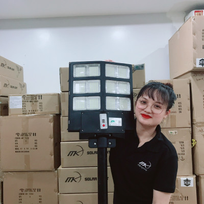 Đèn đường liền thể đôi NLMT MK-662300 300W 