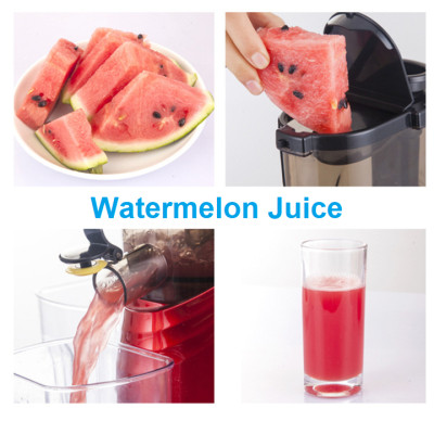 Máy Ép Chậm Thương Hiệu Cao Cấp Merkur JE-B02B (150W) - Hàng Nhập Khẩu