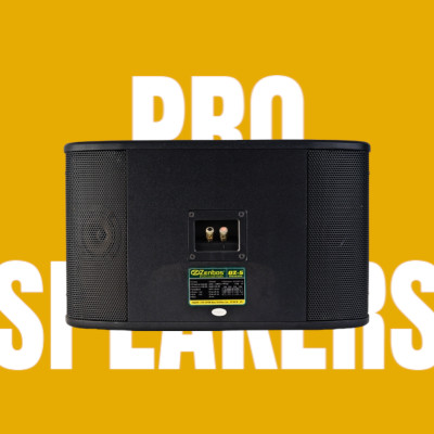Loa Karaoke gia đình Zenbos QZ-5 Bass 25 cm, 3 đường tiếng(Hàng Chính Hãng)