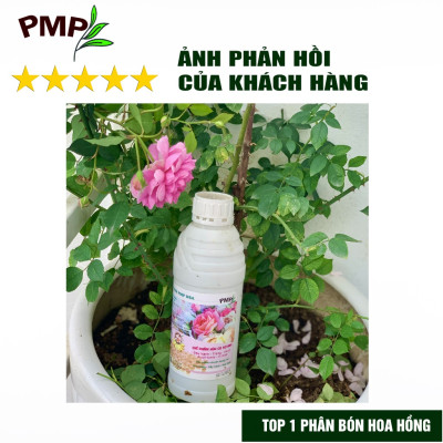 Phân Bón Hữu Cơ Combo đạm cá Hyfish & Phân đậu nành Soymic PMP cho Hoa Hồng