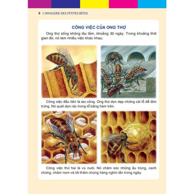 Sách - Những Con Vật Bé Nhỏ - Bìa Cứng - Minh Thắng