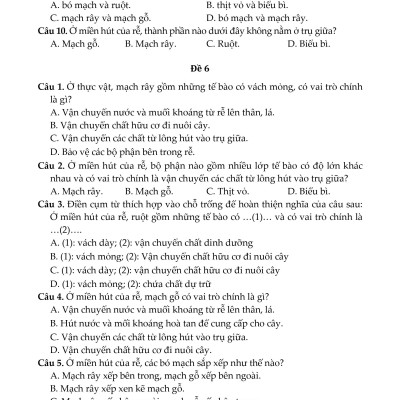 100 Đề Kiểm Tra Sinh Học 6