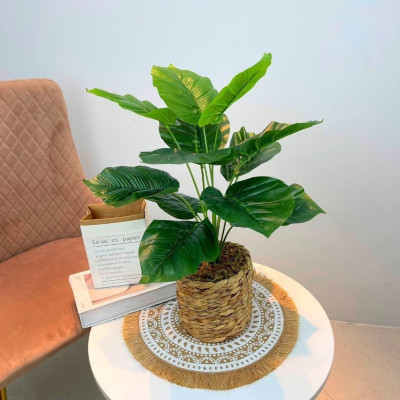Chậu cây trang trí để bàn kèm giỏ y hình các loại - Cao 35cm đến 48cm - Cây giả, hoa lụa Decor trang trí nhà cửa.