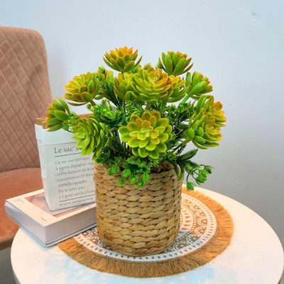 Chậu cây trang trí để bàn kèm giỏ y hình các loại - Cao 35cm đến 48cm - Cây giả, hoa lụa Decor trang trí nhà cửa.