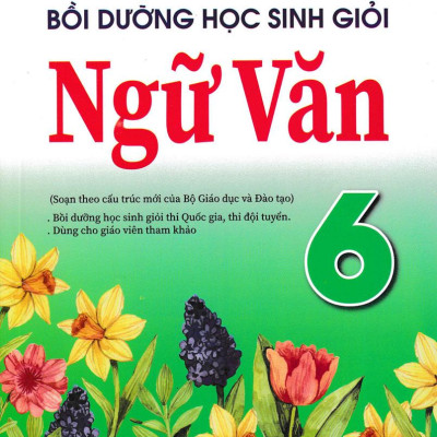 Những Điều Cần Biết Bồi Dưỡng Học Sinh Giỏi Ngữ Văn 6
