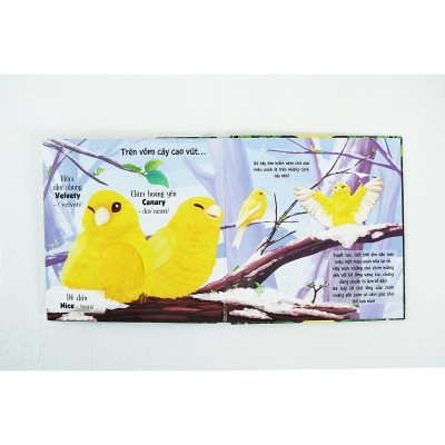 Sách - Touch And Feel - Sách Sờ Chạm Khám Phá - Thế Giới Động Vật - Một Ngày Giữa Thiên Nhiên - Đinh Tị Books