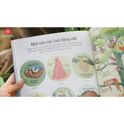 Sách - Bách Khoa Tri Thức Cho Trẻ Em - Đinh Tị Books
