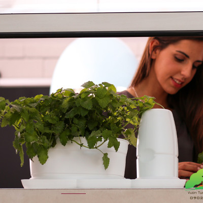 BỘ CHẬU TRỒNG RAU THÔNG MINH TỰ ĐỘNG TƯỚI trong vòng 2 tháng BASIC S, sử dụng 10 năm