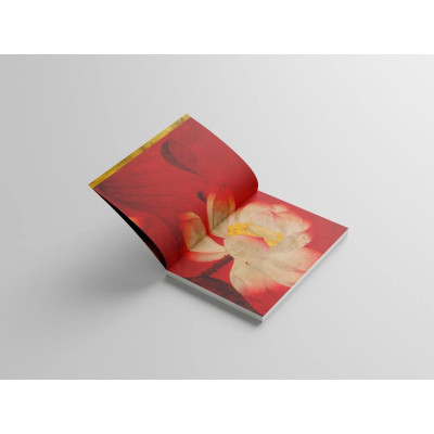 Duyên - Hiện Thực, Trừu Tượng, Thiền Họa - Omega Plus 