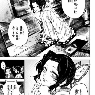 Demon Slayer: Kimetsu No Yaiba Side Stories (Japanese Edition)