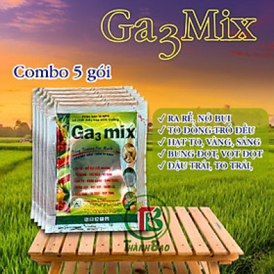 Phân bón lá Ga3Mix, ra rễ, nở bụi cực nhanh, to đòng, trô đều, vô gạo