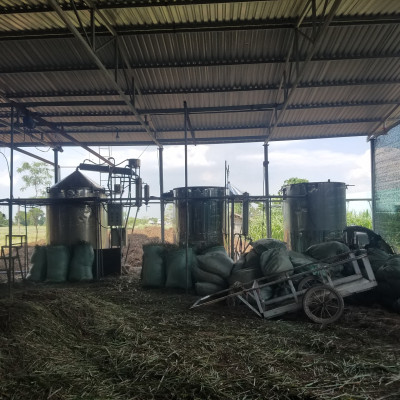 Tinh dầu sả chanh 10ml Mộc Mây - tinh dầu nguyên chất 100% từ thiên nhiên - chất lượng và mùi hương vượt trội