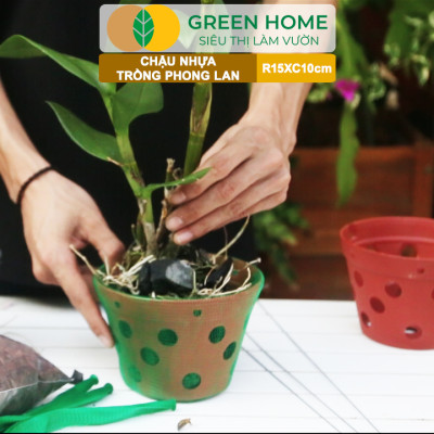 Chậu Trồng Lan Greenhome, R15xC10cm, Nhựa Màu Gốm, Bền, Đẹp, Chống Rơi Vỡ, Thoáng Rễ, Giá Thành Tốt