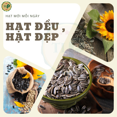 HẠT HƯỚNG DƯƠNG TÂN LỘC PHÁT BỊCH 100G