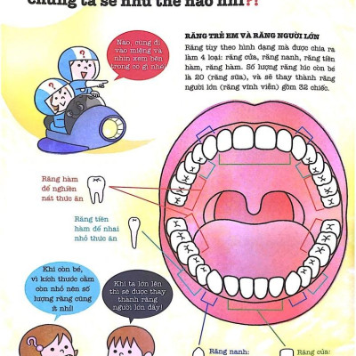 Khám Phá Bí Ẩn Cơ Thể Người (Tái Bản 2022)