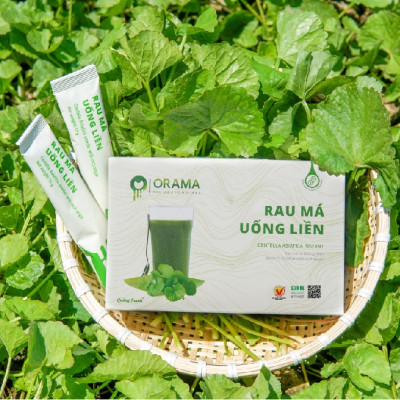 Bột Rau Má Uống Liền Sấy Lạnh Nguyên Chất Hộp Tiện Lợi