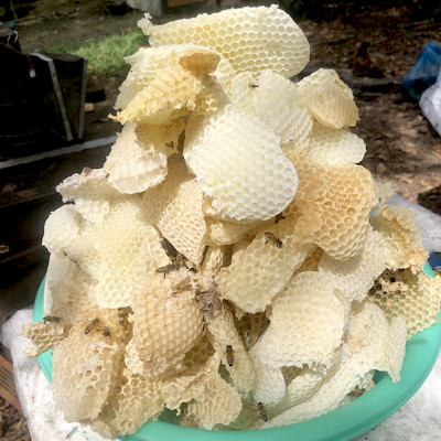 Nến Sáp Ong 120 Giờ Kèm Dĩa Gỗ Dừa 10cm : Khử Mùi Hôi Phòng Kín, Làm Sạch Không Khí, Thơm Nhẹ Mùi Mật Ong - HÀNG CHÍNH HÃNG