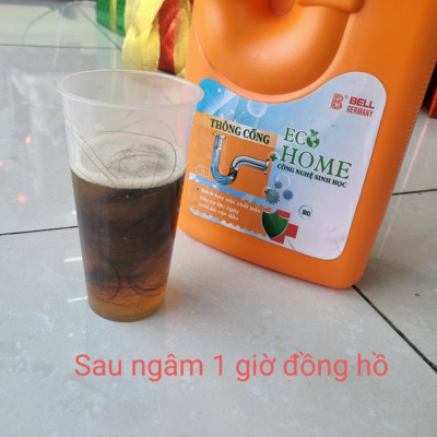 Nước Thông Cống Công Nghệ Sinh Học ECOHOME 1 Lít Giúp Phân Hủy Nhanh Chóng Các Chất Hữu Cơ Trong Đường Ống Thoát Nước