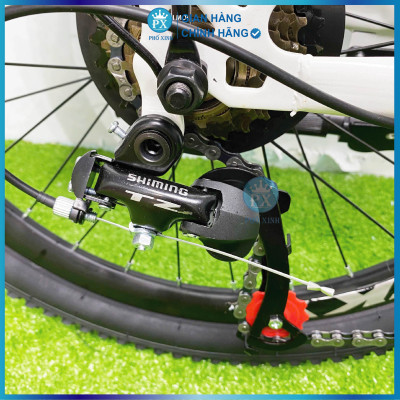 Xe đạp trẻ em Vicky VF22 bánh 22inch