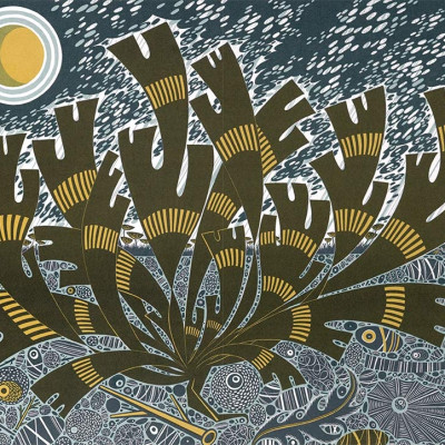 Book Of Pebbles The Perfect Seaside And Armchair Compan, The