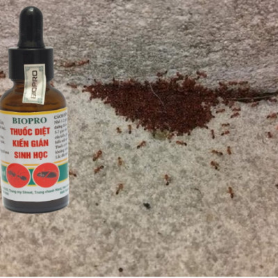 Thuốc diệt kiến gián sinh học Biopro Dạng đầu bóp tiện lợi Diệt tận gốc kiến đen, kiến lửa, kiến hôi, kiến gió, gián