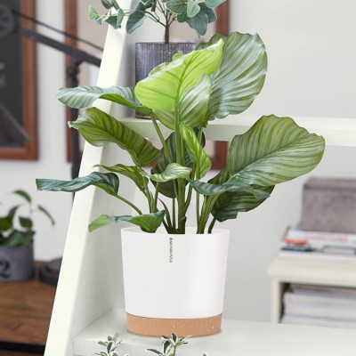 Chậu tự tưới thông minh Monrovia cho hoa, cây cảnh trong nhà và ngoài trời hình trụ tròn