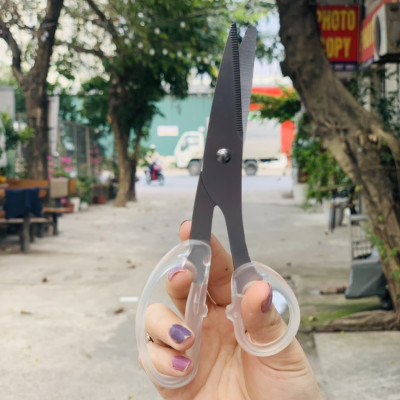 Combo 03 Kéo văn phòng Echo Metal 180mm hàng nội địa Nhật Bản (giao màu ngẫu nhiên)