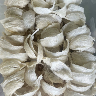 [HGK-K1] Yến Sào Tinh Chế Rút Lông Cao Cấp - Yến Sào Hòn Gốm Khánh Hòa - HGK NEST