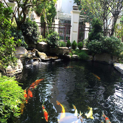 Đèn UV 75W Bóng Kép chất lượng cao, diệt tảo, diệt khuẩn cho bể cá, hồ cá, hồ thủy sinh siêu sạch ( Trắng)