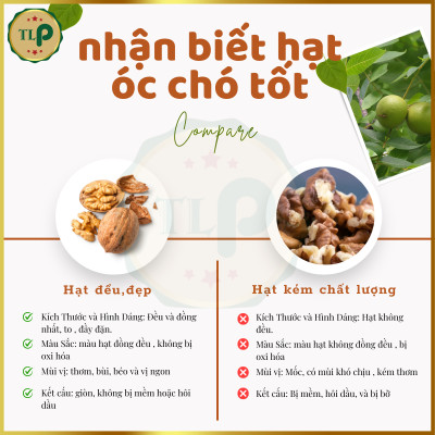 NHÂN HẠT ÓC CHÓ TÂN LỘC PHÁT HŨ 350G THƠM NGON BỔ DƯỠNG